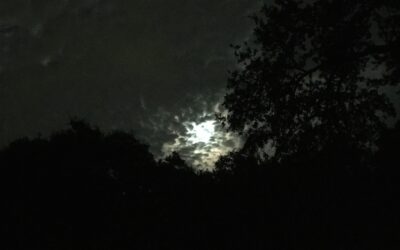 August Full Moon Sabbath